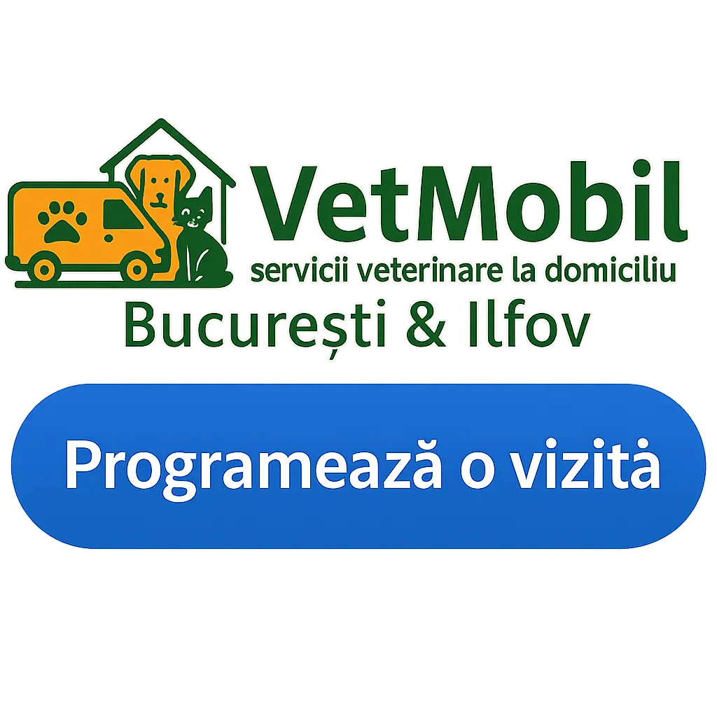 Programează o vizită